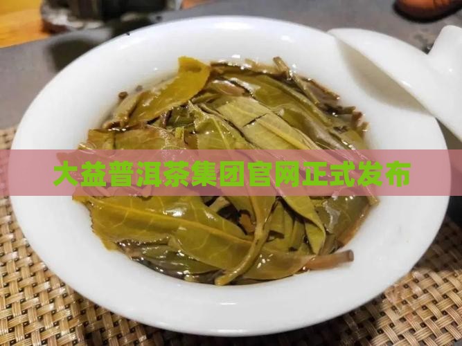 大益普洱茶官方旗舰