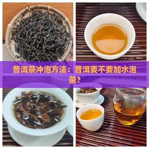 普洱茶要不要加水泡茶的 普洱茶要不要加水泡茶的