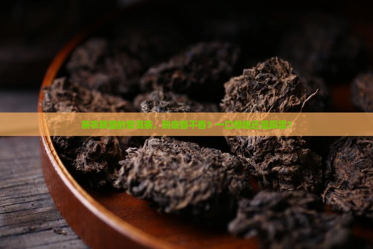 茶农联盟普洱茶怎么样
