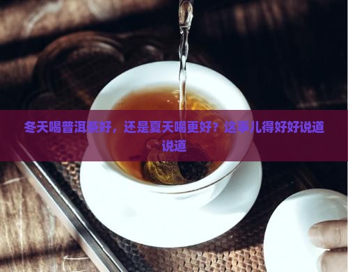 普洱茶冬天喝好夏天喝好