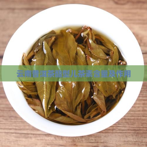 云南普洱茶酯型儿茶素