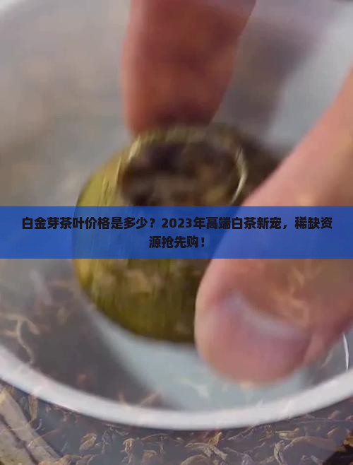 白金芽茶叶价格