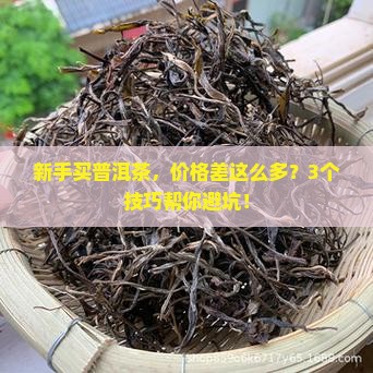 普洱茶价格差距大
