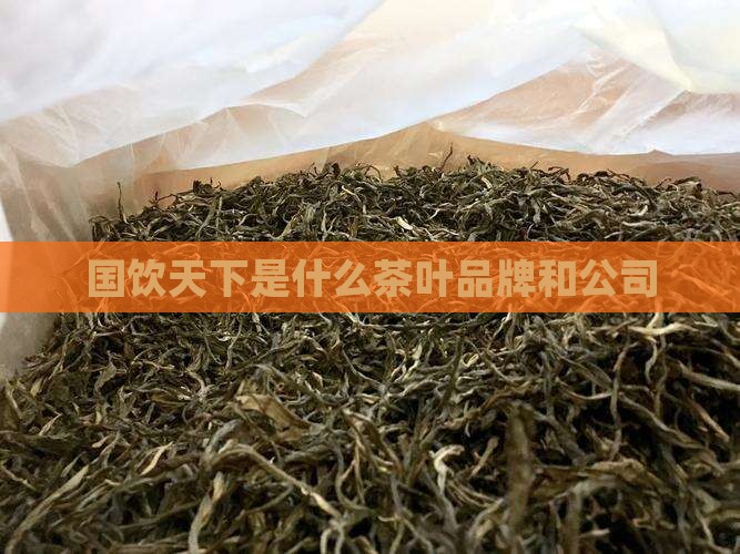 国饮天下是什么茶叶