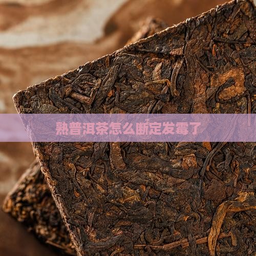 熟普洱茶怎么断定发霉了