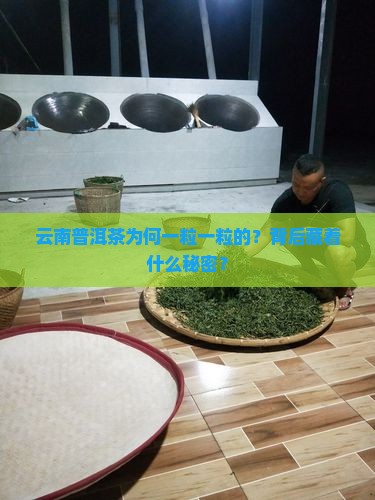 云南普洱茶一粒一粒的