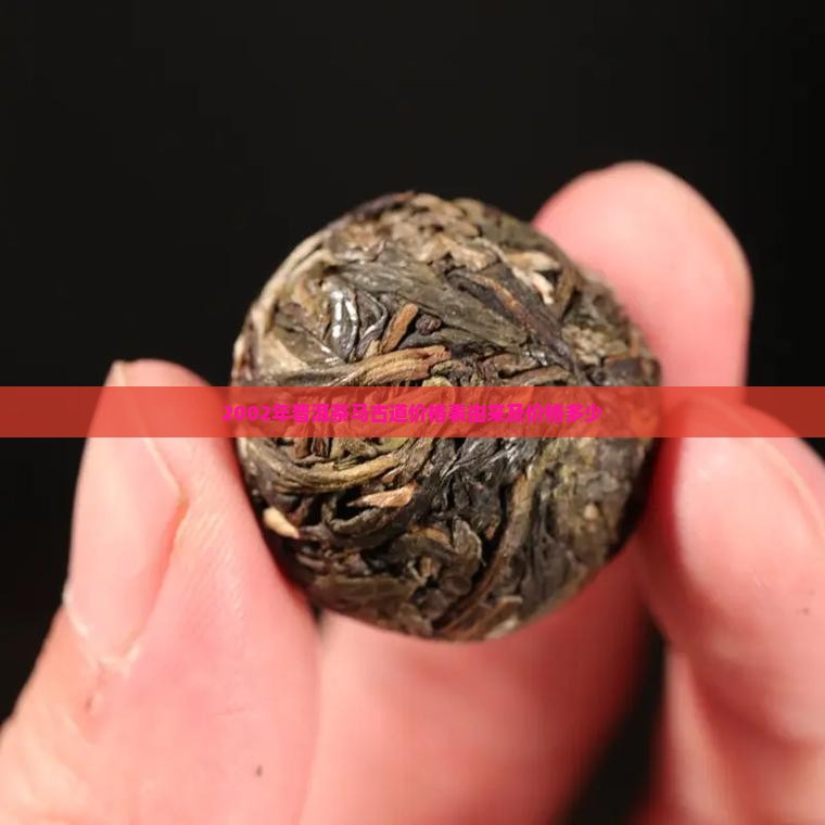2002年普洱茶马古道