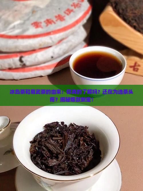 冰岛茶和易武茶的由来