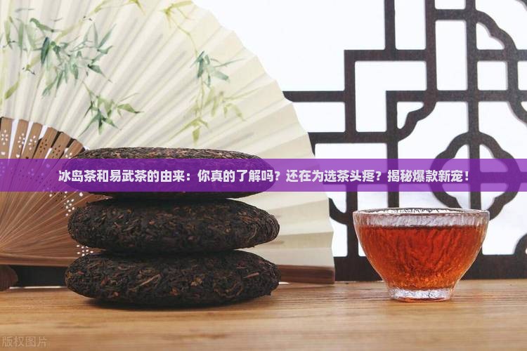 冰岛茶和易武茶的由来