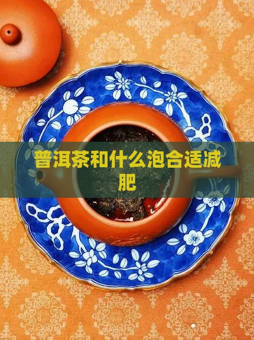 普洱茶和什么泡合适减肥