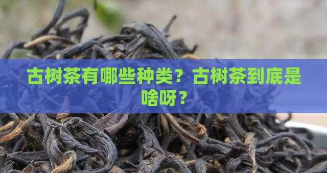 古树茶种类古树茶的定义