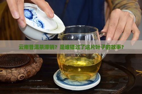 云南普洱茶卖不出去