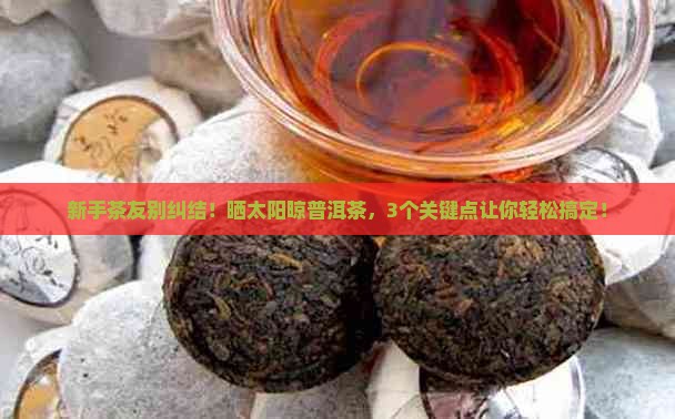 普洱茶晾干需要有太阳吗