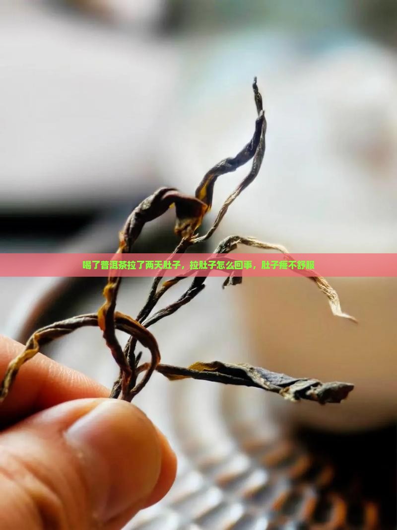 喝了普洱茶拉了两天肚子