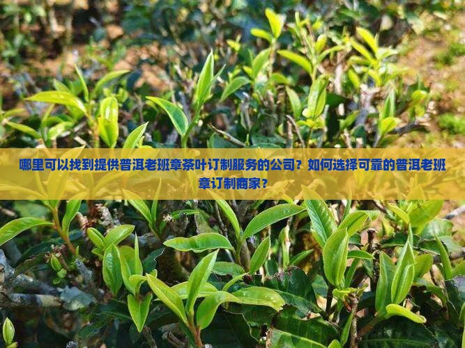 普洱老班章订制公司在哪里