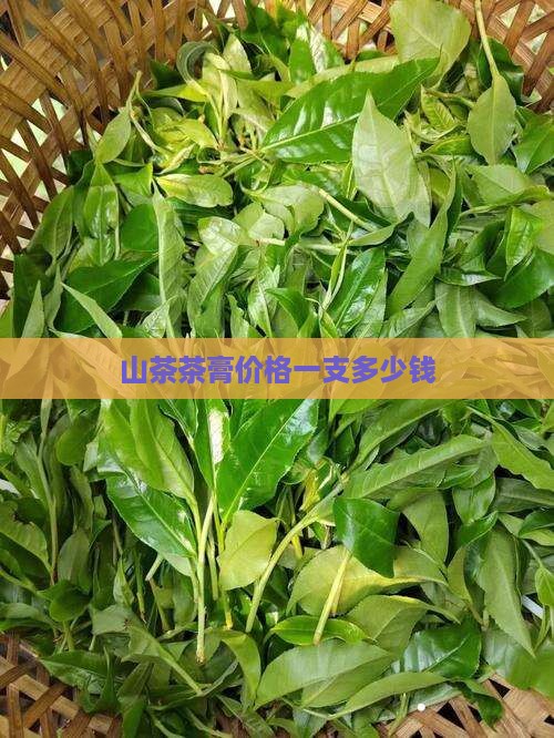 山茶膏多少钱一支