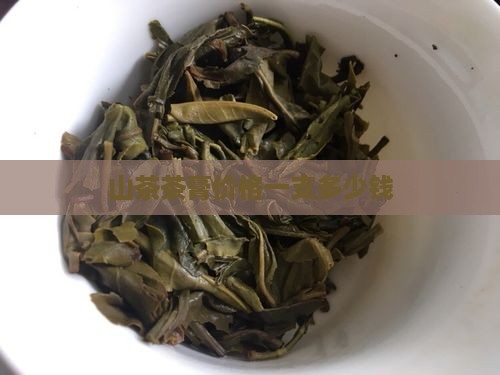 山茶膏多少钱一支