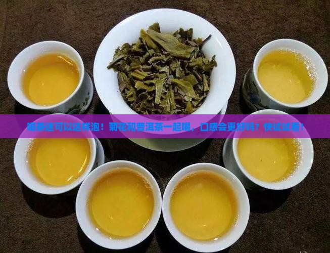 菊花可以喝普洱茶一起泡吗