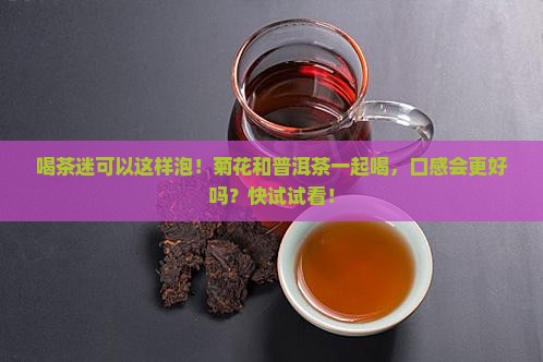 菊花可以喝普洱茶一起泡吗