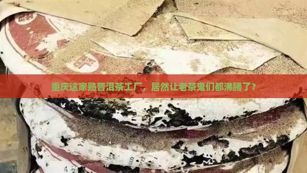 重庆熟普洱茶工厂