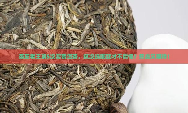 普洱茶购买藏记录