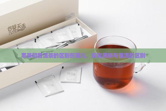 黑茶和普洱茶的区别在哪儿