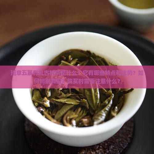 班章五寨有机古树茶