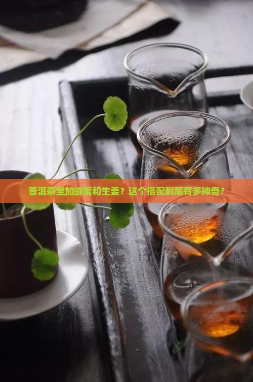 普洱茶蜂蜜生姜