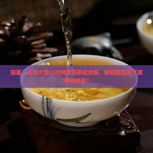 云南大雪山古树普洱茶纪念版