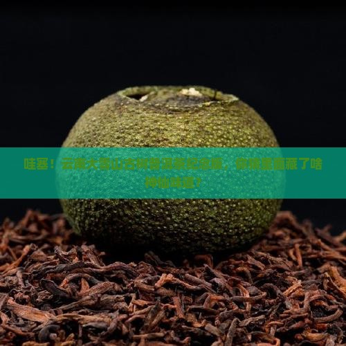 云南大雪山古树普洱茶纪念版
