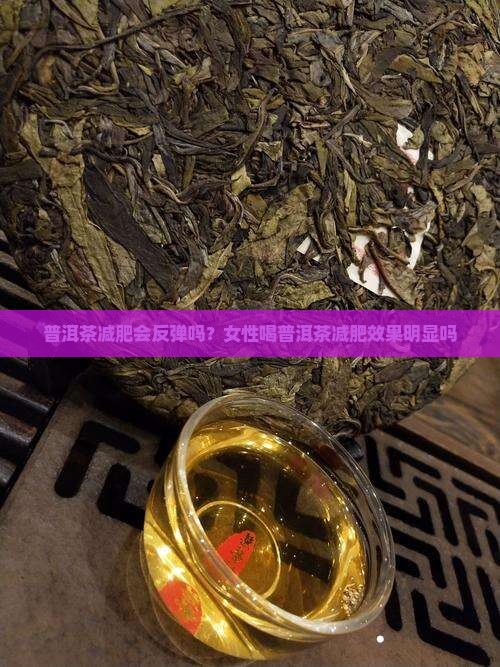 普洱茶减肥会反弹吗