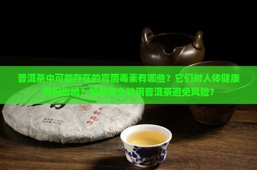 普洱茶的霉菌毒素