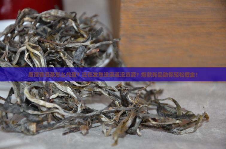 鹰潭普洱茶怎么代理