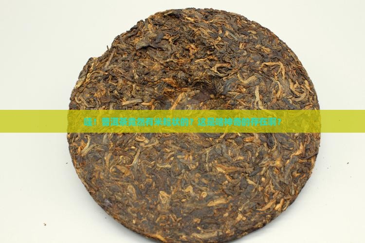 普洱茶米粒状是什么茶啊