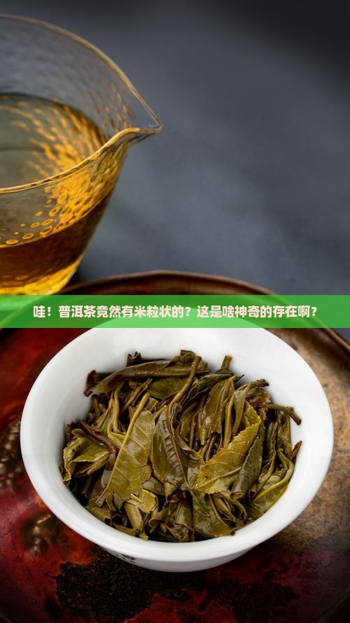 普洱茶米粒状是什么茶啊