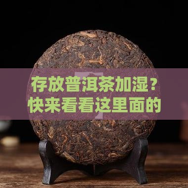 存放普洱茶加湿