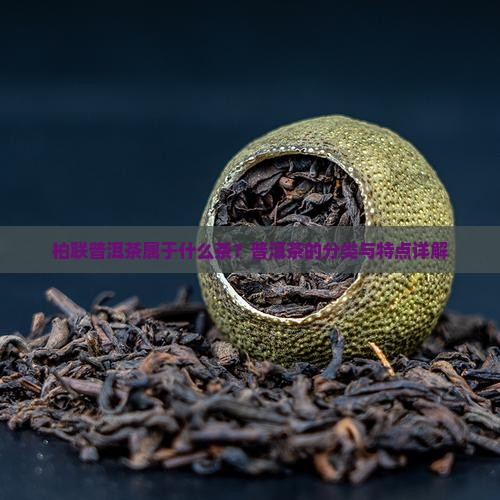 柏联普洱茶属于什么茶