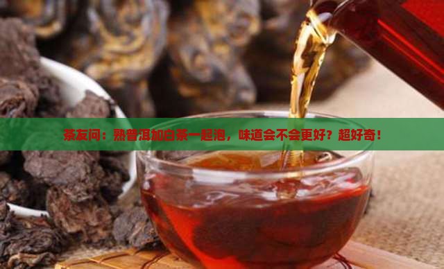 熟普洱茶加白茶可以吗