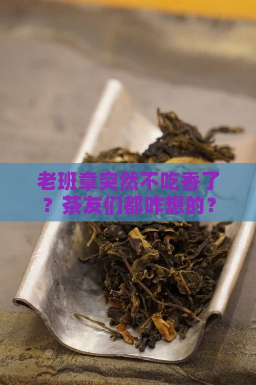 老班章终于不那么抢手了