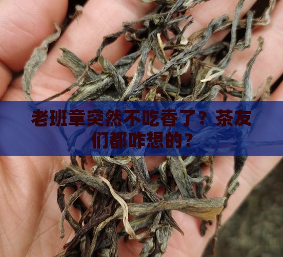 老班章终于不那么抢手了