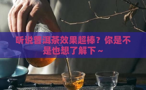 请问普洱茶有什么效果好
