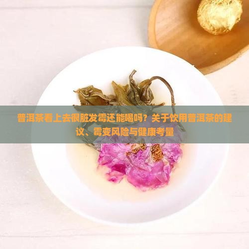 普洱茶看上去很脏发霉还能喝吗