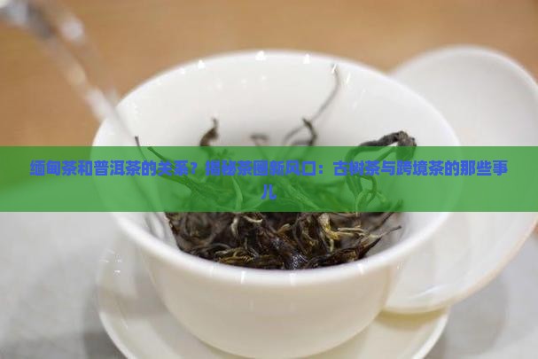 缅甸茶和普洱茶的关系