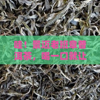 景迈老班章普洱茶