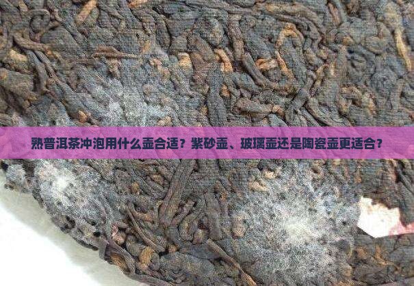 熟普洱茶冲泡用什么壶
