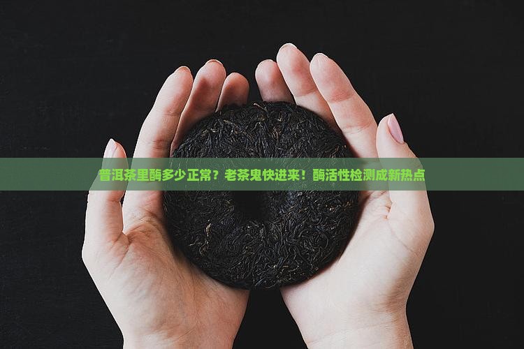 普洱茶里酶多少正常