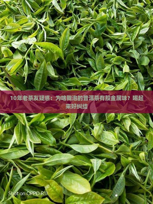 普洱茶有金属味道