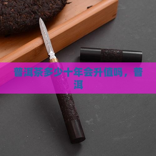 普洱茶10年会升值吗百度