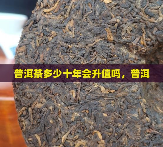普洱茶10年会升值吗百度