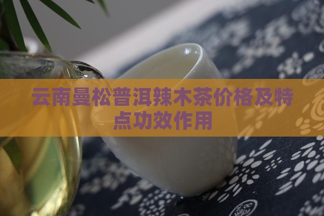 云南曼松普洱辣木茶